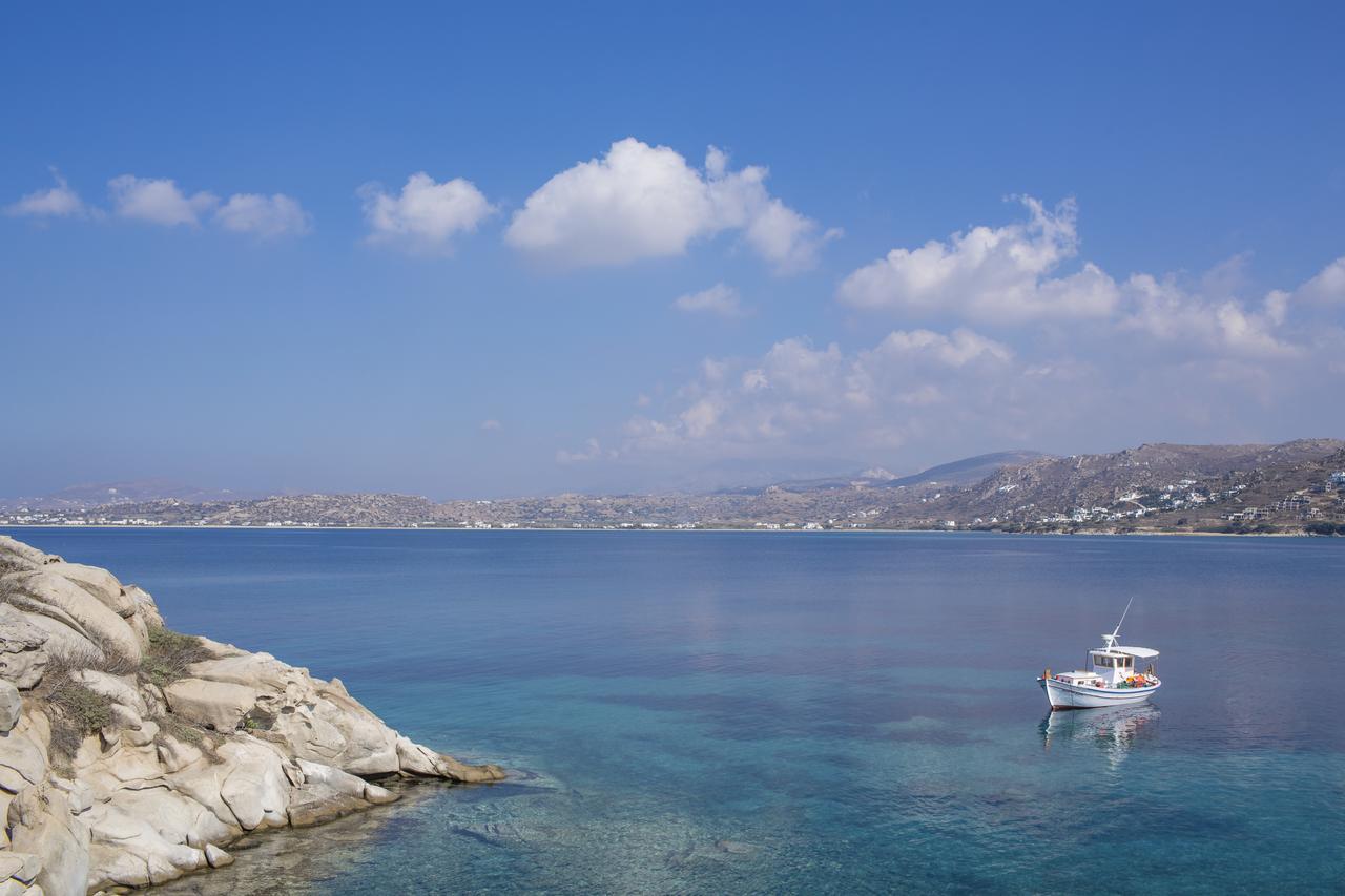 Naxos Luxury Villas Mikri Vigla Exterior photo
