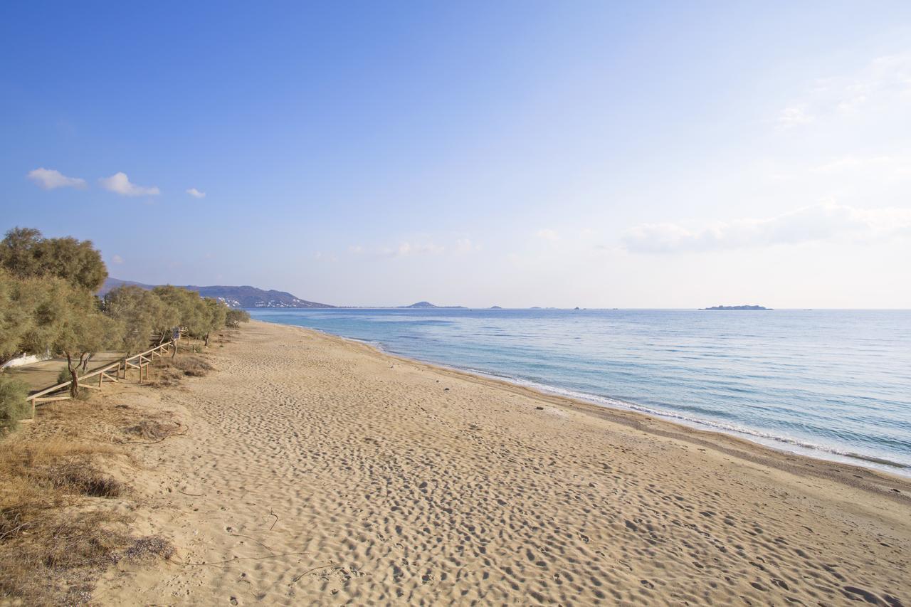 Naxos Luxury Villas Mikri Vigla Exterior photo