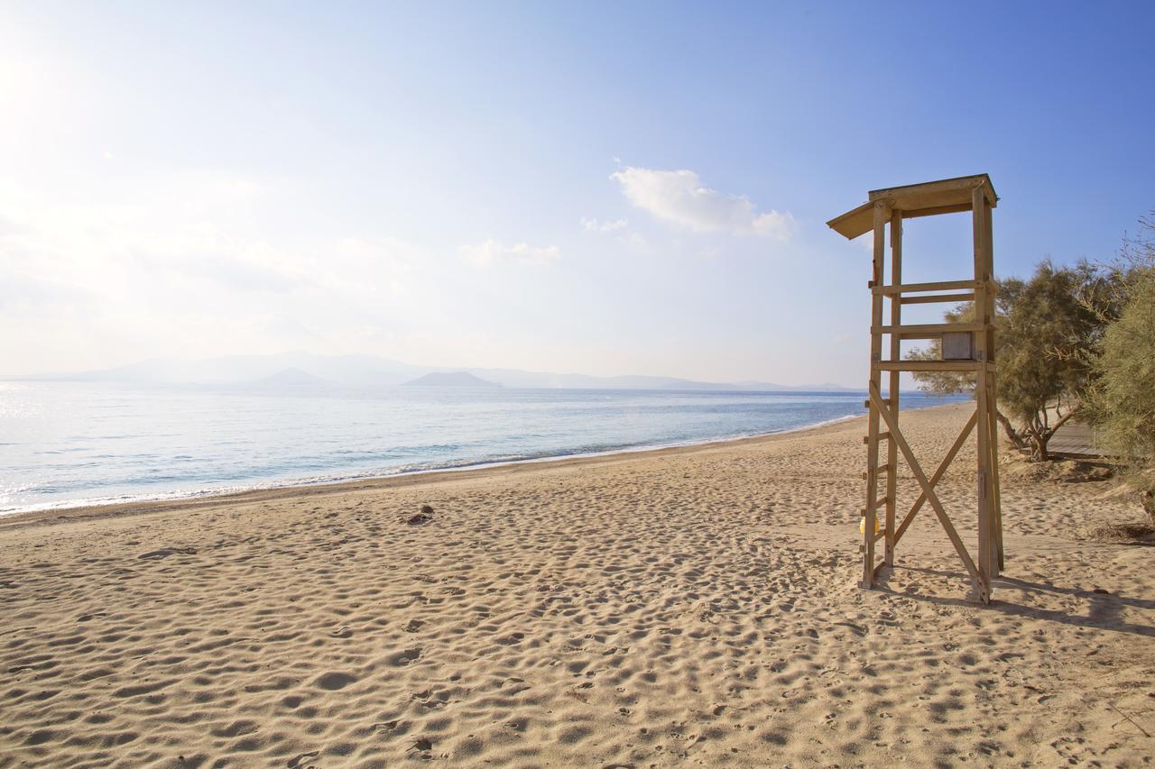 Naxos Luxury Villas Mikri Vigla Exterior photo