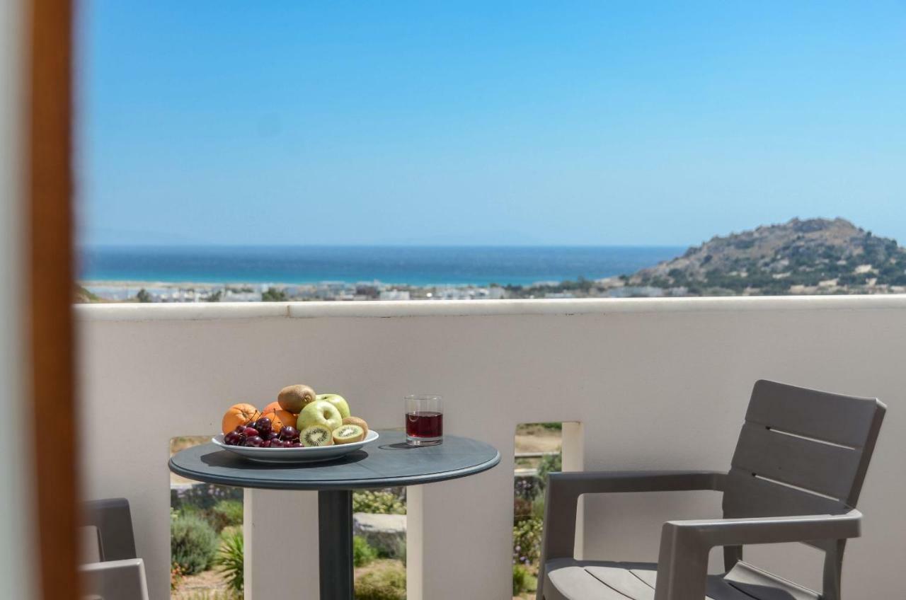 Naxos Luxury Villas Mikri Vigla Exterior photo